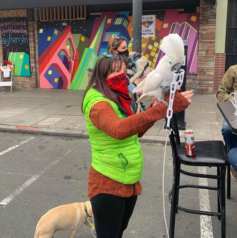 Meet your Posher, Jill